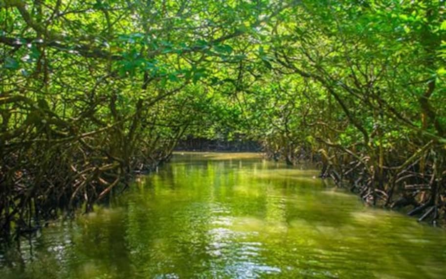 Port Blair Baratang Island Landscape Image